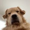 momo24_o9