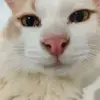 im_jefff