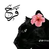 boudjema.farah