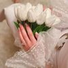 aml.ayman78