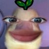 aqilxh12