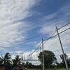 user6105132305129