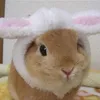 dvdlover8