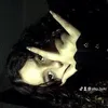 aiko_huki