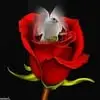 ricardo.sanchez.t13