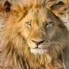 __mostafa235__