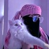 mislam647425