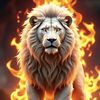 mirza.naeem895