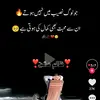 ali.raza.riz688