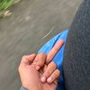 anakesutres