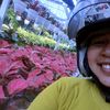 ayu.nurhikmah1