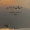 husnainsheikh951