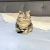 asepppsukaakucinggg