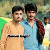 haroonbaghi0