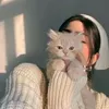 ha_ll_6