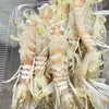 minhphamvanminh7