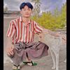 ko.phyo3386