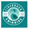 liverduck.swimmin