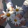 luli_6607