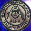 snayper_wolf