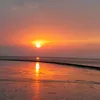 faw_ze1