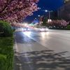 123_yanvar