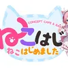 #ねこはじめました