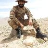 malikrehankhan384