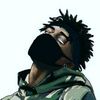 navistounzoo1
