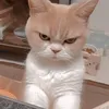 salikha__77
