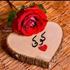 user49753950066142