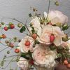 wildlisianthus
