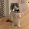 rgccicv
