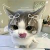 mayar.mayar68