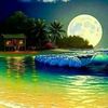 user86618435788816