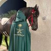 ksa_100.100