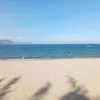 la_thanh1004