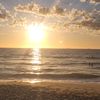 angelar_2626