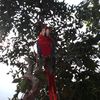 vgx.zaem_barcena