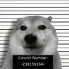 xamu_noob1