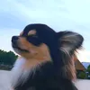 therealsnoopyy