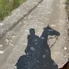 toro87.04