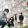 yoshidajuliet