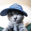 .rebornscats