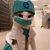 psico.cat7