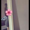 stef_12077