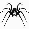 callsignrdrecluse