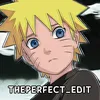 theperfectsh1t
