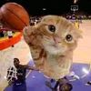 ballincat907