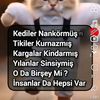 .byk.nazm
